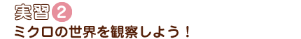 実習2ミクロの世界を観察しよう!