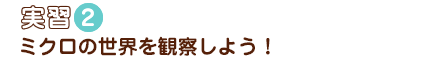 �½�2�ߥ�����������ѻ����褦��