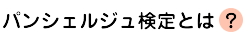 �ѥ󥷥��른�帡��Ȥϡ�