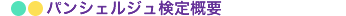 �ѥ󥷥��른�帡�공��