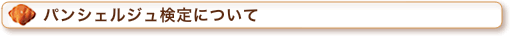 �ѥ󥷥��른�帡��ˤĤ���