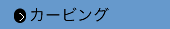 カービングコース