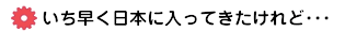 いち早く日本に入ってきたけれど