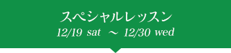 プレクリスマス 12/19sat~12/30wed