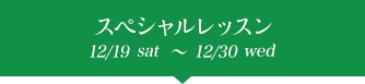 ץ쥯ꥹޥ 12/19sat~12/30wed