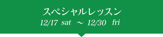 プレクリスマス 12/19sat~12/30wed
