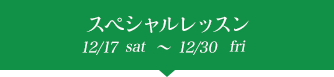 ץ쥯ꥹޥ 12/19sat~12/30wed