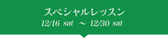 ڥå 12/16satᎵ12/30sat