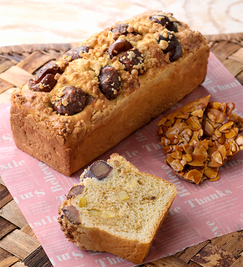 ホームメイドクッキング　天然酵母パンハイセミナー　レシピ集 ホームメイドクッキングレシピ 天然酵母パンセミナー テキスト