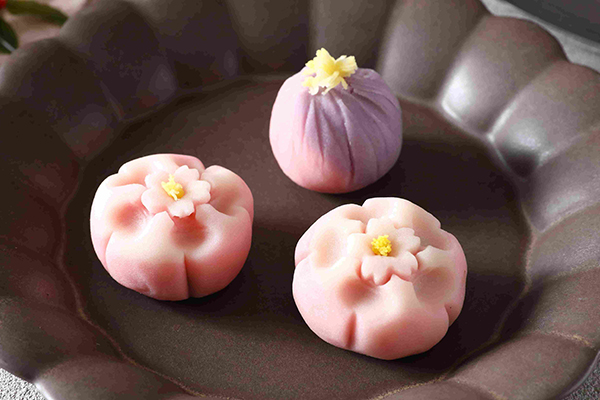 花畑＆早咲き桜