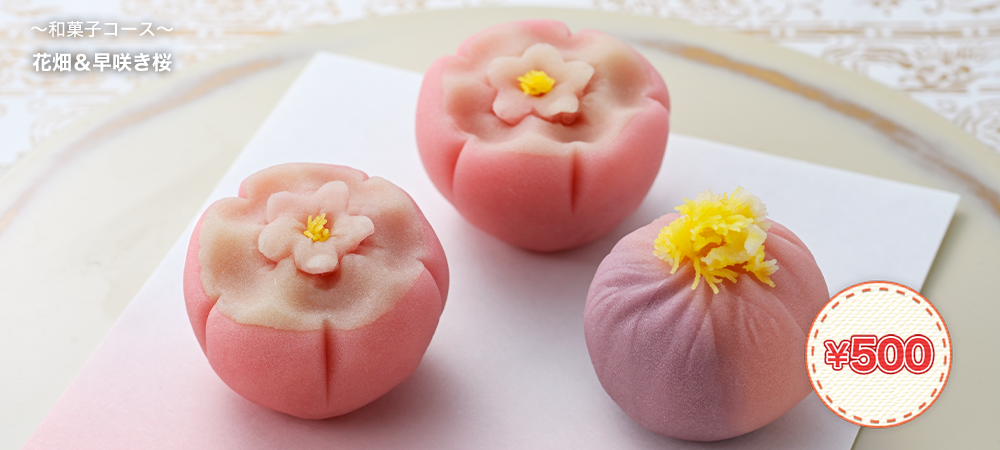 花畑＆早咲き桜