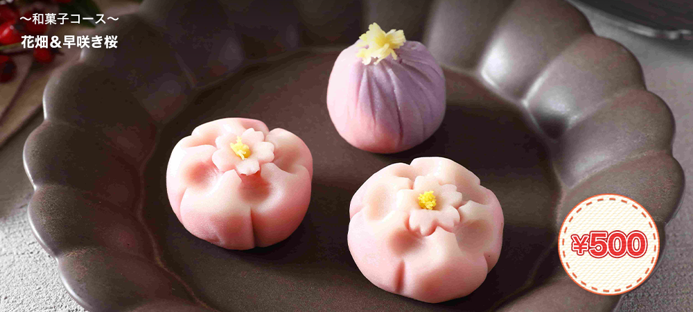 花畑＆早咲き桜