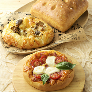 �ե����å���3��(������/�ޥ륲�꡼��/���Τ�)