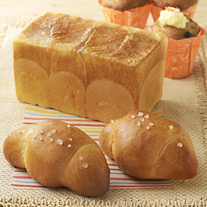 ��������Υץ�ޥ�����ѥ��������åȥ�����