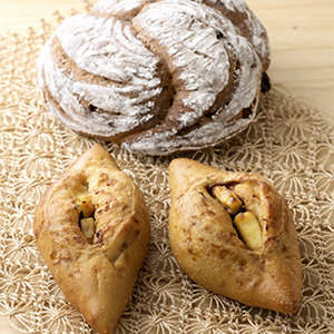 �ץ롼���Υ���ѡ��˥������������