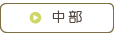 中部