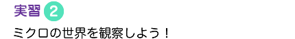 実習2