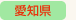 愛知県