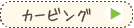 カービングコース