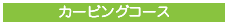 カービングコース
