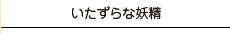 ショコラ・パネトーネ／カボチャのラップサンド