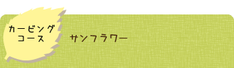 カービングコース、サンフラワー